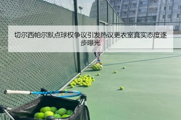 切尔西帕尔默点球权争议引发热议更衣室真实态度逐步曝光