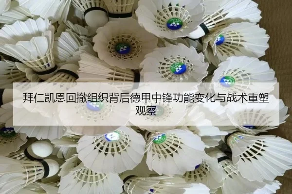 bai-ren-kai-en-hui-che-zu-zhi-bei-hou-de-jia-zhong-feng-gong-neng-bian-hua-yu-zhan-shu-zhong-su-guan-cha-2-986.jpg