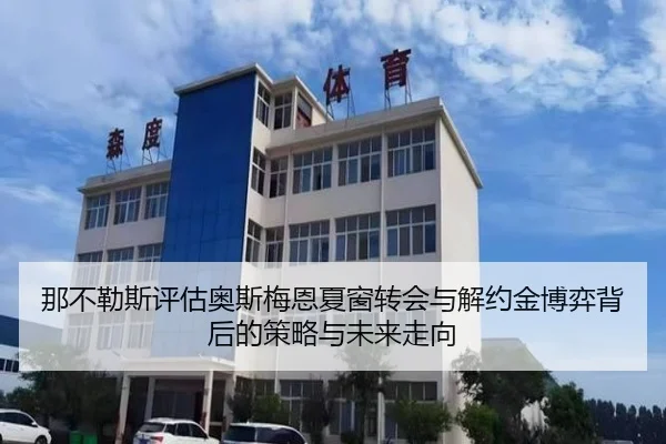 那不勒斯评估奥斯梅恩夏窗转会与解约金博弈背后的策略与未来走向